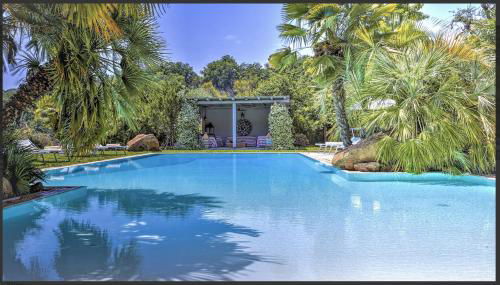 Rm-f734-ster43at - Pozzo Antico 10 - Foto 5, Garden, Garden view