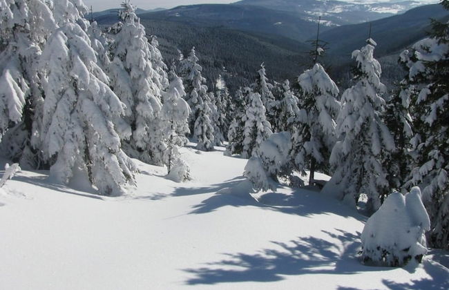 Spacious Holiday Home in Zlata Olesnice - Foto 37