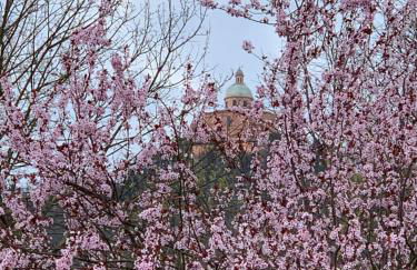 San Luca Exclusive Apartment - Foto 30