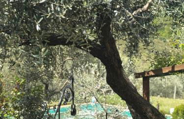 LA CAPANNA Casale in pietra con piscina - Foto 12