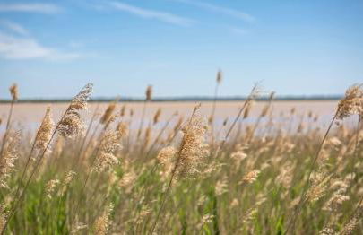 Le Chalet Médocain - Foto 44