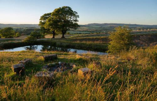 Moor Tops by Birch Stays - Photo 67