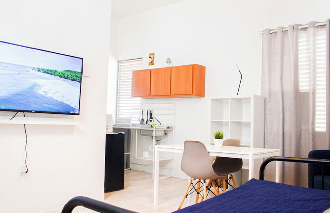 Gladiolas 2204 - Foto 8