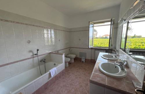 Seguire Le Botti - Agriturismo Cantina Sant'Andrea - Foto 22