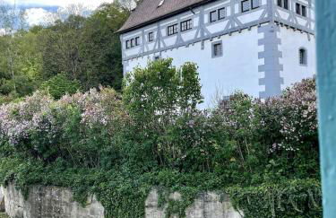 Grand Apt 1777 Neckarmühle - Foto 39