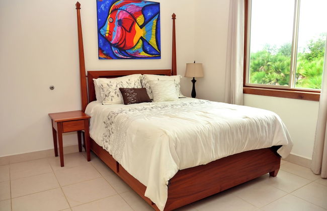 Marazul Belize - Foto 23