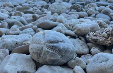 House Natale - Photo 30