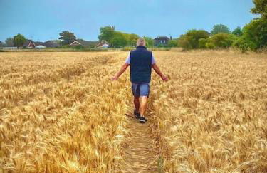 Cute Studio with kitchen, patio and free parking - Foto 12