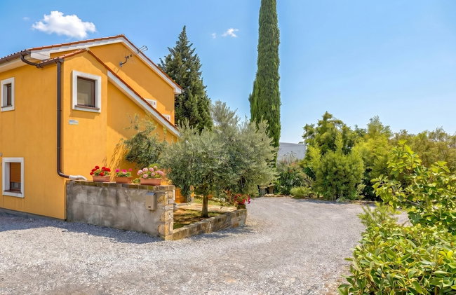 House In The Vineyards - Photo 17