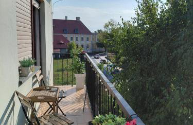 Apartman Dunav - Foto 22