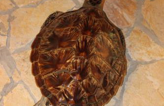 Apartment Lucky with Jacuzzi - Photo 74