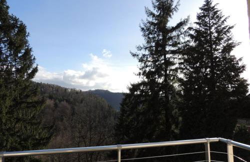 Gîte ESPERANZA SPA et SAUNA - Foto 18