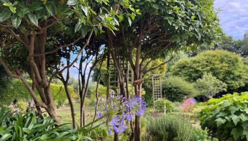 Studio GîTE COSY sur Jardin - Foto 4