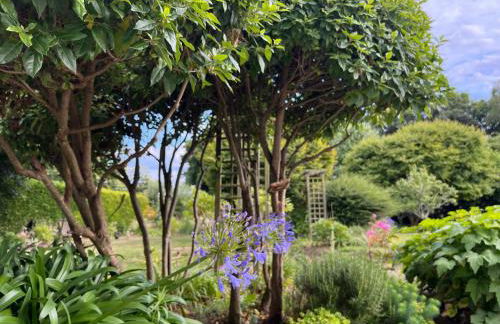 Studio GîTE COSY sur Jardin - Foto 4