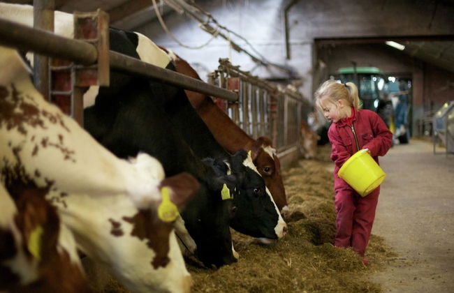Apartment in Netherlands With Scenic Meadows - Photo 12