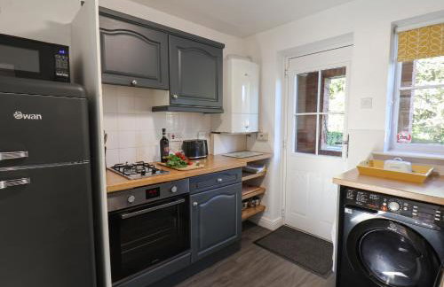 Dabbling Ducks - Foto 10