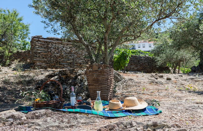 Casa de Casal de Loivos - Photo 57