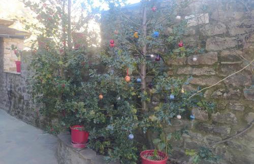 Xenonas Zagorisio - Photo 7