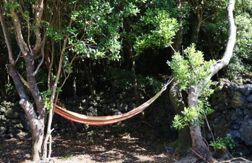 Casas do Caminho Novo - Photo 26