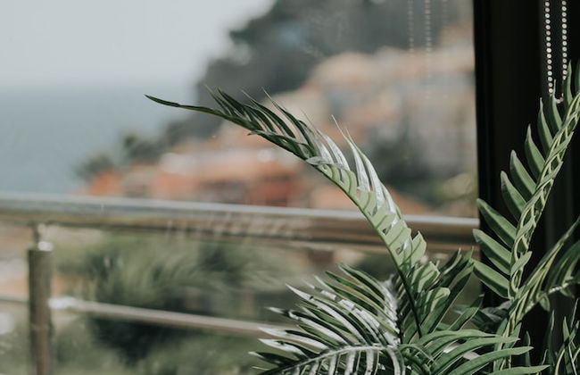 Elia Boutique Hotel - Foto 15