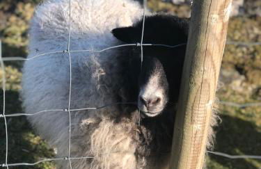 Sea View Cabin - Foto 34