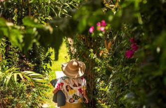 Calheta Victory View by An Island Apart - Photo 29