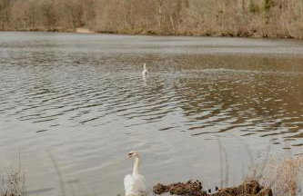 Cozy Cairnwell Farm Cottage - Foto 54