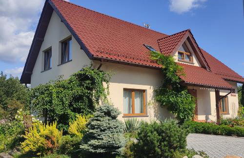 Wiśniowy Sad - Foto 1