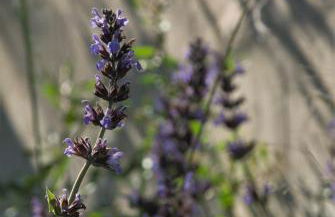 LIORIZA Country Houses - Foto 59