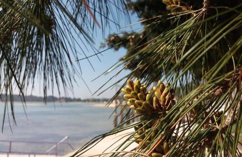 Bright & Cozy Medulin apartments - Foto 42