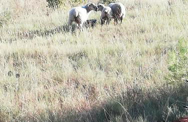 Gîte le Relais de la Cavayere - Foto 8