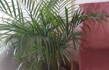 Apartments iris - Foto 62