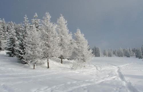 Les Lucioles - Photo 22