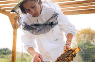 Milea Agritourism - Foto 79