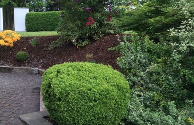 Nice Apartment in Daun-waldkonigen - Photo 26