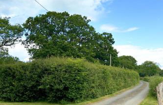 Holiday Home Fir Cottage by Interhome - Foto 82