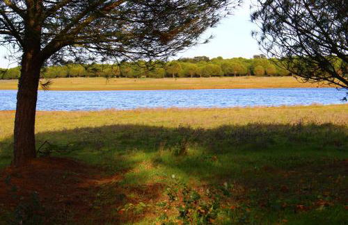 Sesmarias Turismo Rural & SPA - Foto 34