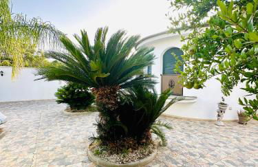 Villa Verde Salento - Foto 8