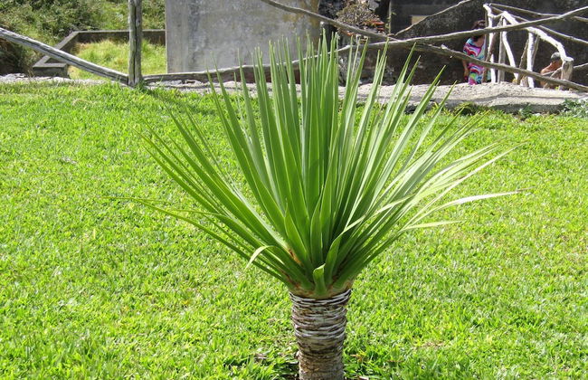 Villa Montemar - Foto 23