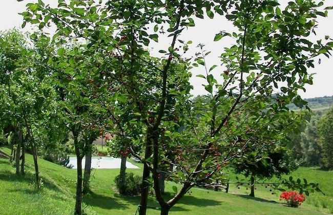 Verdidea - Podere della Bruciata - Foto 79