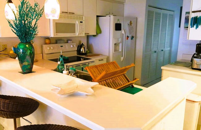 Beach View Oceanfront Condo in Ponce Inlet FL - Foto 20