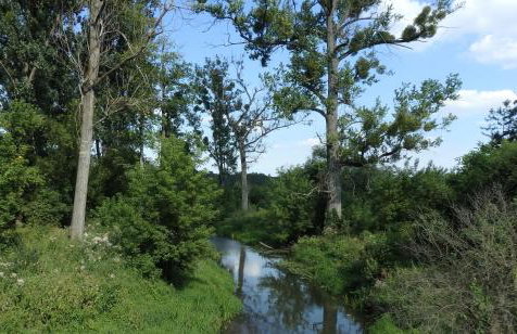 Godzisz - domek rekreacyjny - Foto 34