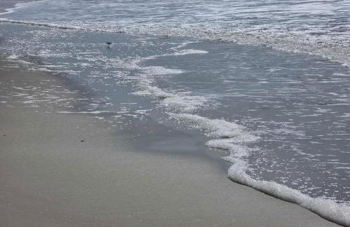 Spacious Beach House Steps to Sand - Foto 57