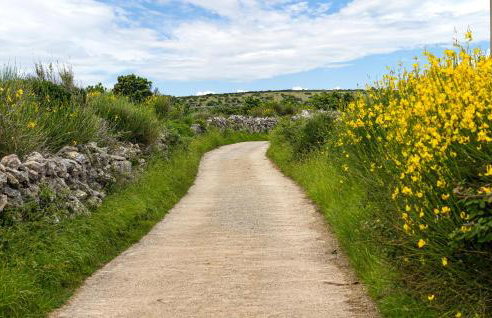 3 Bedroom Stunning Home In Plat - Foto 40