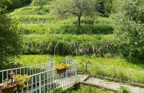 Woods House - Foto 39