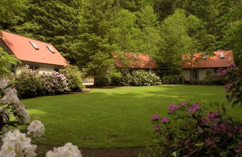 Fabulous Luminous Cottages Fully Equipped Perfect for Couples in Oregon - Foto 1