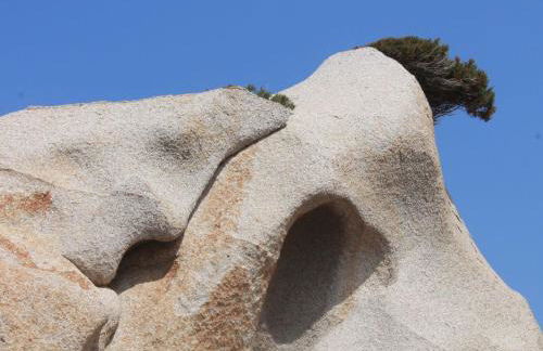 Holiday Home Stazzo mit Garten in Luogosanto by Interhome - Foto 48