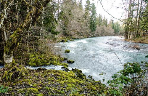 Molalla River Cottage - Foto 4