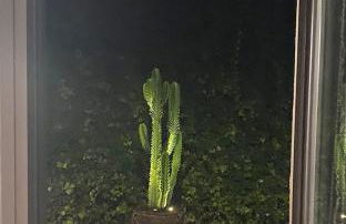 Casa Tanio 150m walking from the village and town of Tamariu - Foto 36