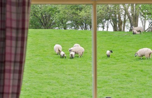 Spring Cottage-Ukc6557 - Foto 11